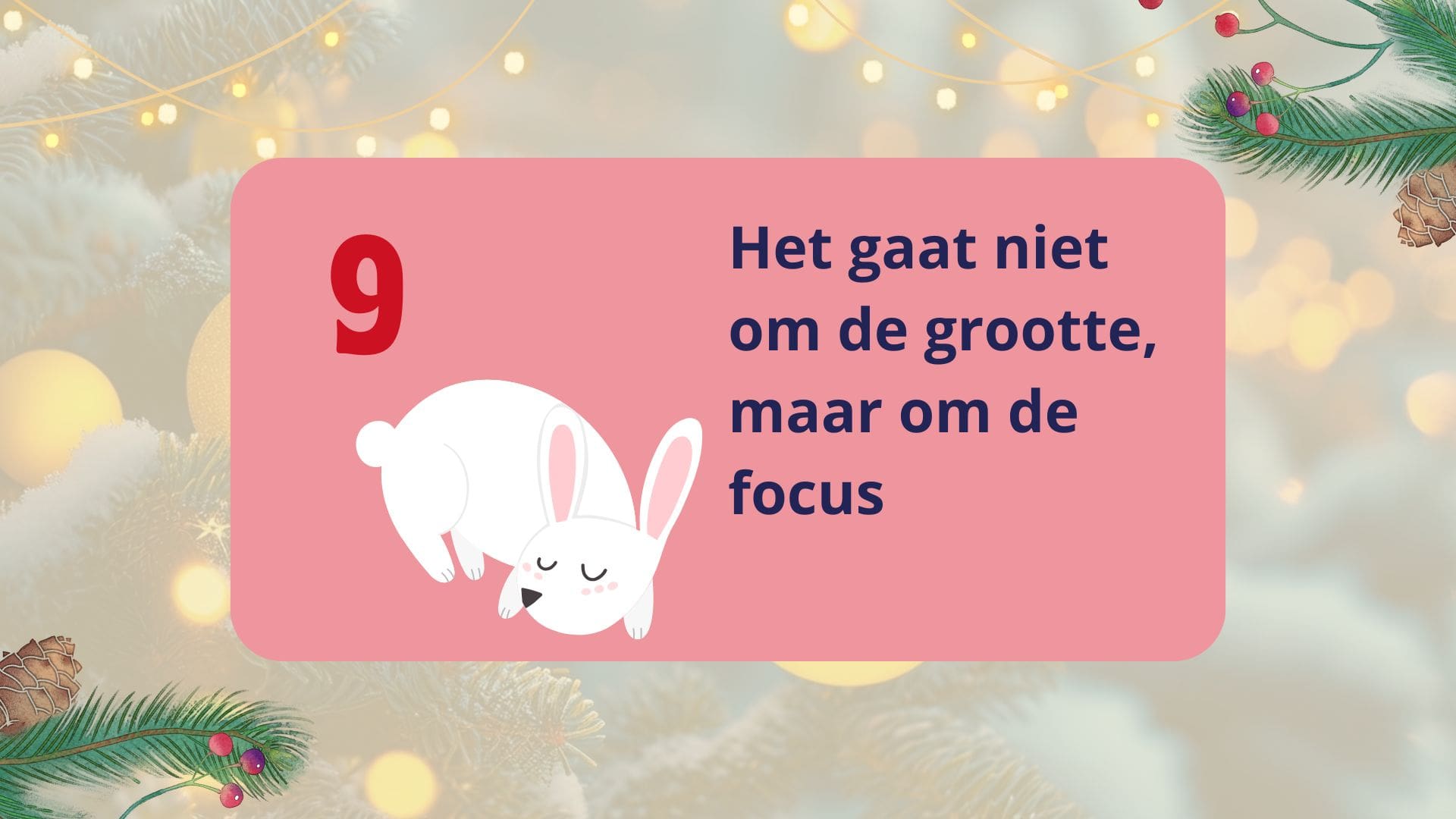 Featured image for “9. Het gaat niet om de grootte, maar om de focus”