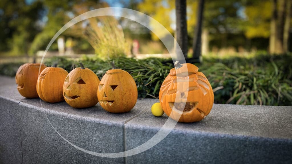De gele bal tussen de pompoenen. Een klein moment van vrolijke afwijking, precies zoals we het graag zien bij Essentiedenkers.